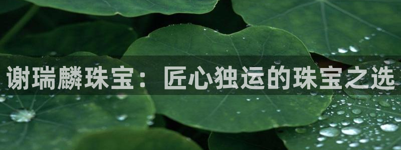 新宝5娱乐登陆