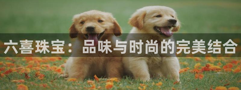 新宝股东瞧听2 5 5：六喜珠宝：品味与时尚的完美结合