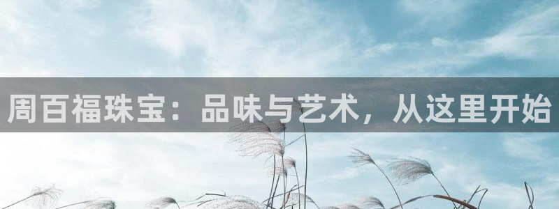 新宝5登陆地址