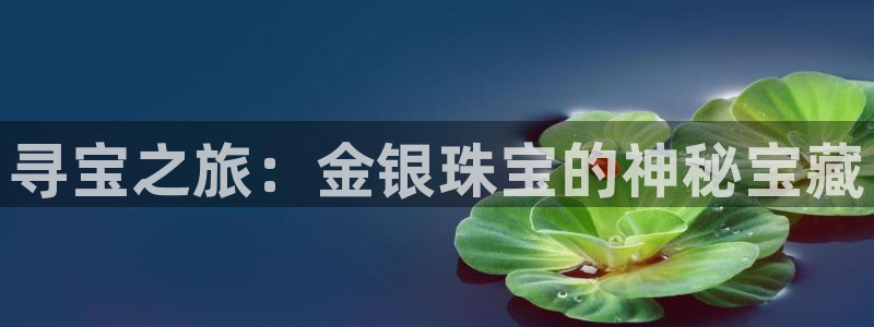 新宝5官网霸