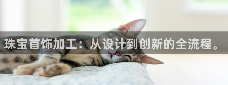 新宝5彩票娱乐平台：珠宝首饰加工：从设计到创新的全流程。