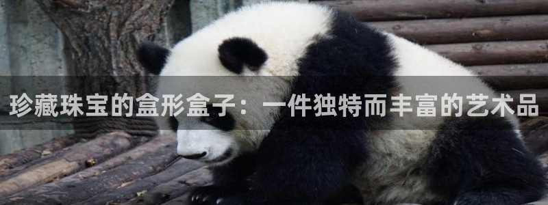 新宝股东瞧听2 5 5：珍藏珠宝的盒形盒子：一件独特而丰富的艺术品