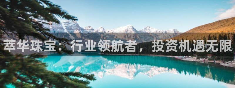 新宝5下载测试：萃华珠宝：行业领航者，投资机遇无限
