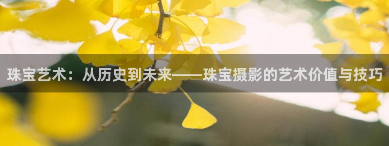 新宝5唯一：珠宝艺术：从历史到未来——珠宝摄影的艺术价值与技巧