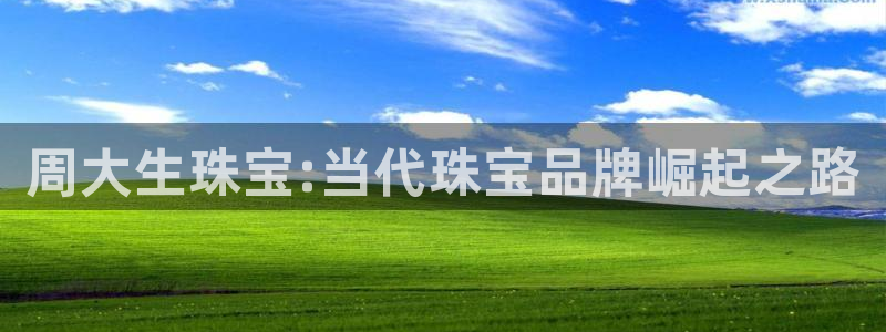 新宝 5测速：周大生珠宝:当代珠宝品牌崛起之路