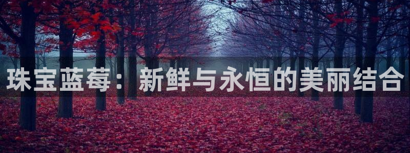 新宝5娱乐家：珠宝蓝莓：新鲜与永恒的美丽结合