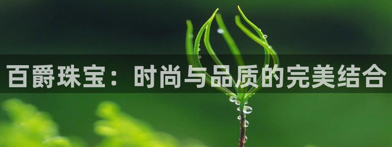新宝5代理注册：百爵珠宝：时尚与品质的完美结合