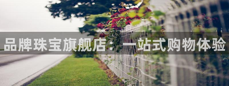 新宝5挂机软件：品牌珠宝旗舰店：一站式购物体验