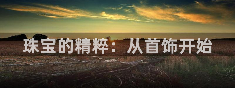 新宝集团新宝5：珠宝的精粹：从首饰开始