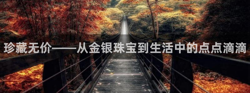 新宝5黑彩：珍藏无价——从金银珠宝到生活中的点点滴滴