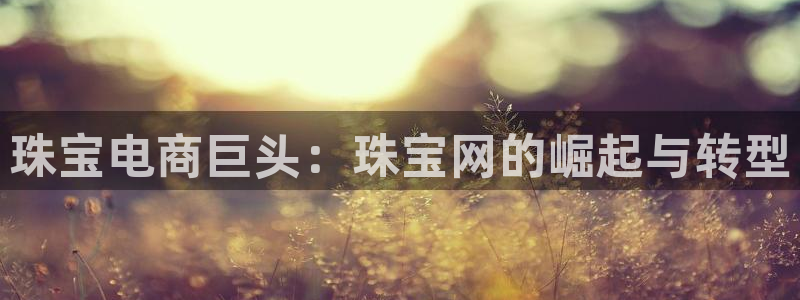 新宝5在哪里：珠宝电商巨头：珠宝网的崛起与转型