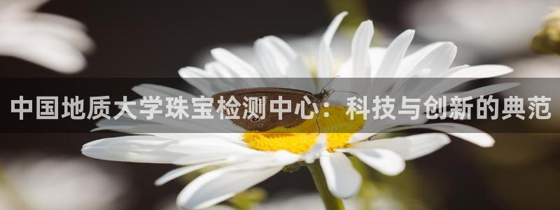 新宝5app：中国地质大学珠宝检测中心：科技与创新的典范