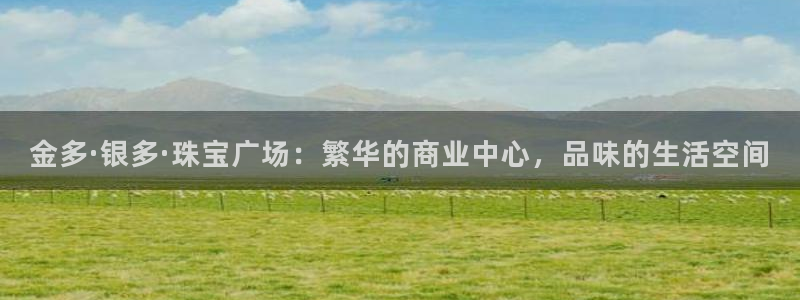 新宝rm5：金多·银多·珠宝广场：繁华的商业中心，品味的生活空间