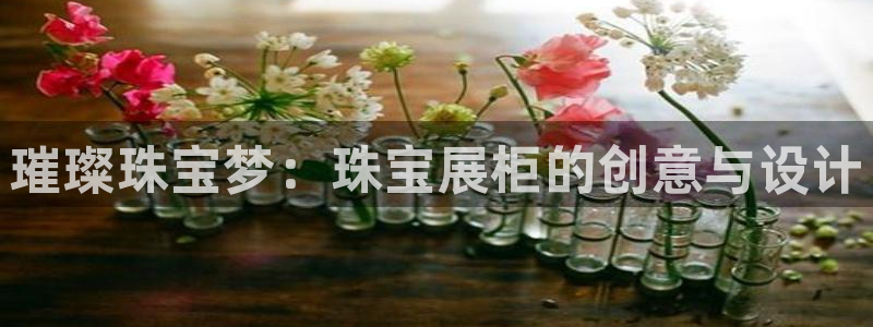 新宝_5：璀璨珠宝梦：珠宝展柜的创意与设计