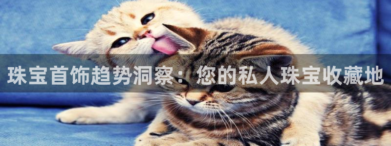 新宝5的网址：珠宝首饰趋势洞察：您的私人珠宝收藏地