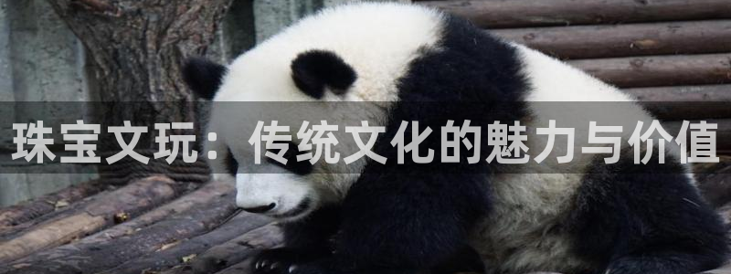 新宝5登陆：珠宝文玩：传统文化的魅力与价值