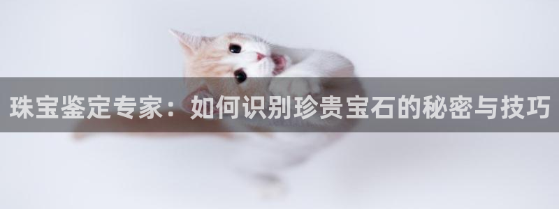 新宝rc_5w：珠宝鉴定专家：如何识别珍贵宝石的秘密与技巧