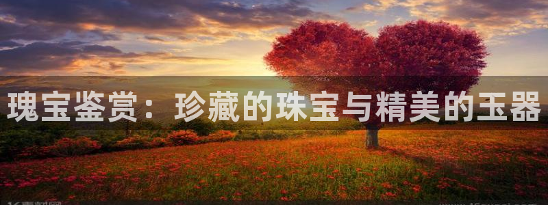 新宝5娱乐注册：瑰宝鉴赏：珍藏的珠宝与精美的玉器