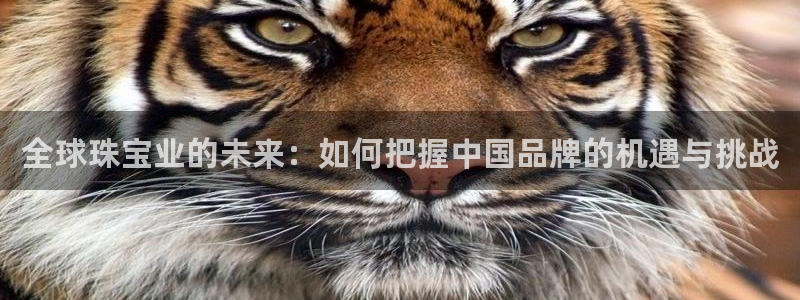 新宝5娱乐网址：全球珠宝业的未来：如何把握中国品牌的机遇与挑战