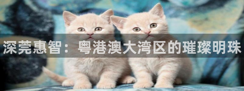 新宝速5：深莞惠智：粤港澳大湾区的璀璨明珠