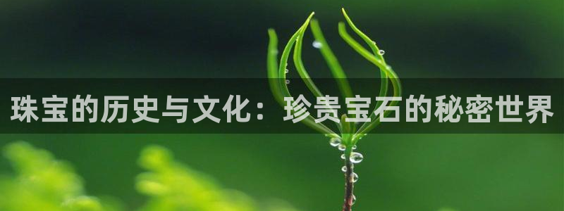 新宝5后：珠宝的历史与文化：珍贵宝石的秘密世界