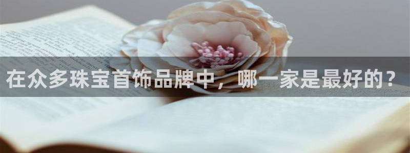 新宝5台卡：在众多珠宝首饰品牌中，哪一家是最好的？