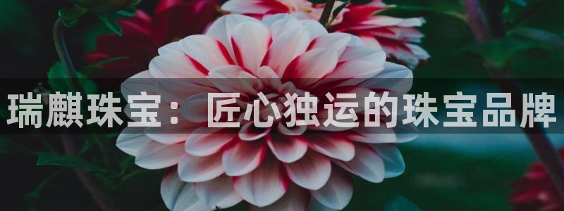 菲律宾新宝5老板：瑞麒珠宝：匠心独运的珠宝品牌