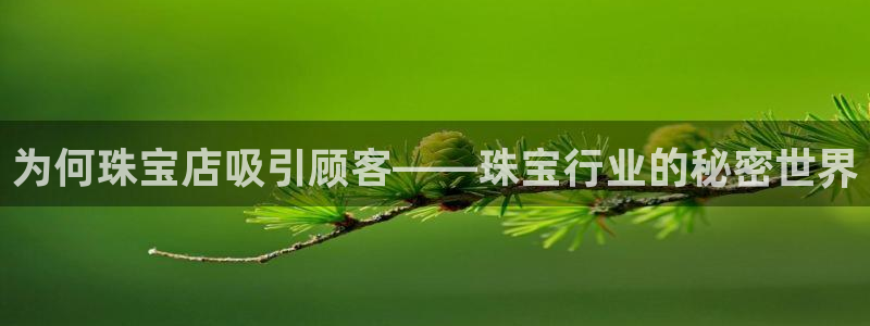 新宝5测速：为何珠宝店吸引顾客——珠宝行业的秘密世界