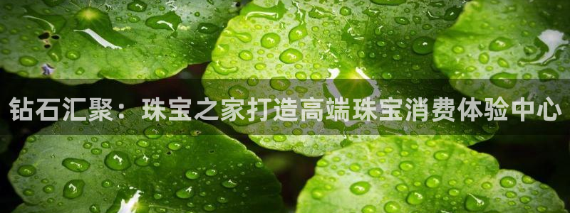 新宝5娱乐登陆：钻石汇聚：珠宝之家打造高端珠宝消费体验中心