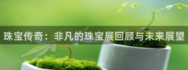 新宝5-测速：珠宝传奇：非凡的珠宝展回顾与未来展望