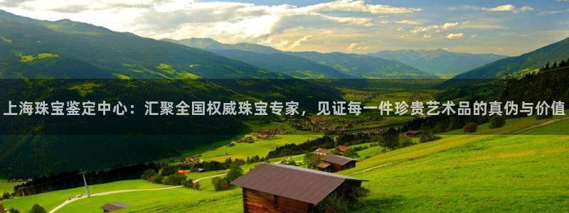 新宝那2O5O5O：上海珠宝鉴定中心：汇聚全国权威珠宝专家，见证每一件珍贵艺术品