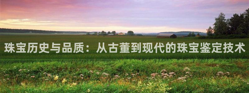 新宝5娱乐平台：珠宝历史与品质：从古董到现代的珠宝鉴定技术